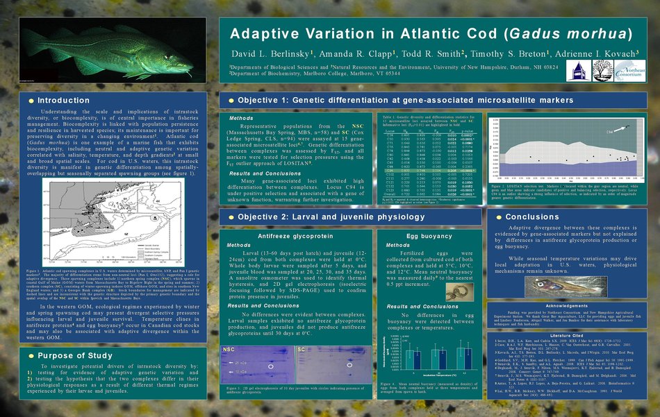 Adaptive Variation In Cod by akovach